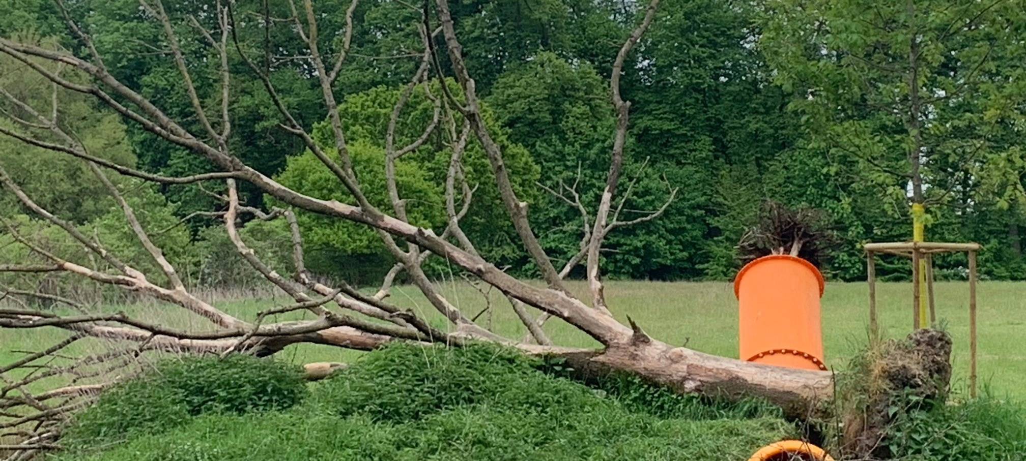 SENDEN: Ausstellung im Bürgerpark