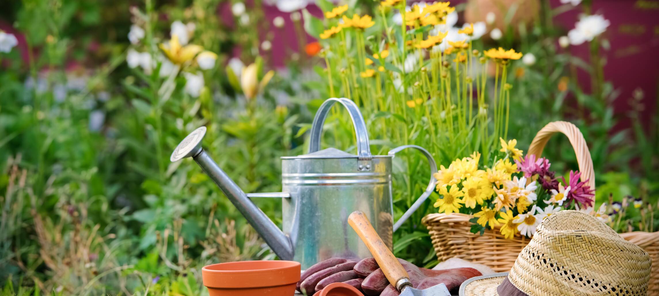 CAPELLE: Einbruch während Gartenarbeit