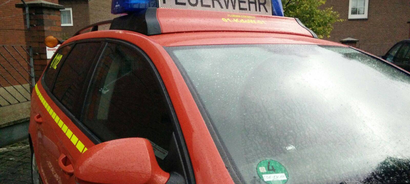 COESFELD: 16 Meter Hecke abgefackelt