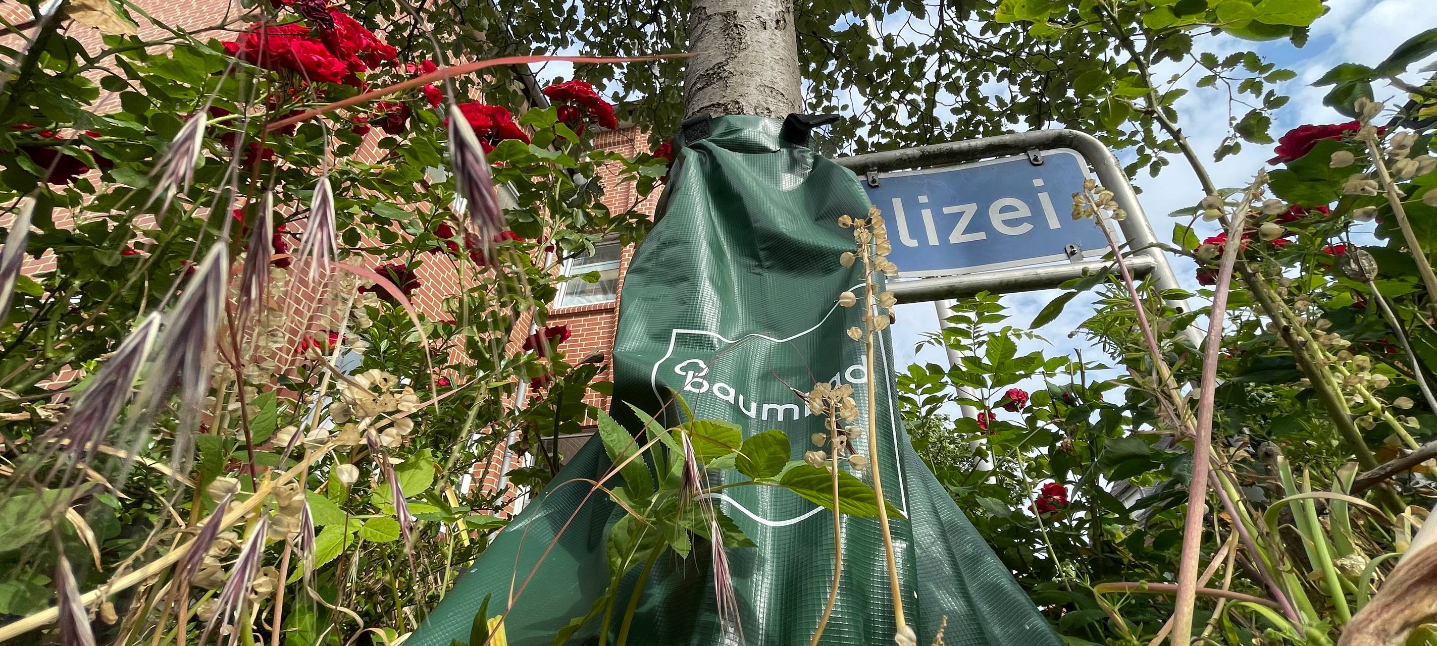 NORDKIRCHEN: Baumpaten gesucht