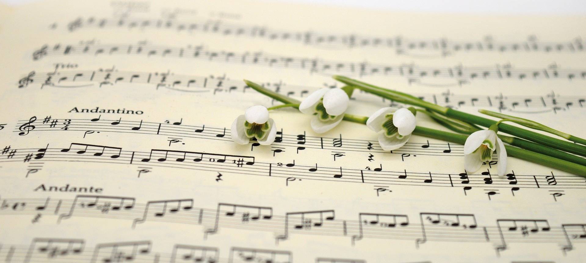 Plätze frei bei Kursen für Chorsänger und Solisten
