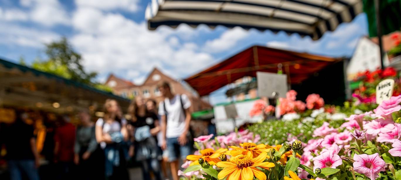 KREIS: Wochenmärkte in der Hitze