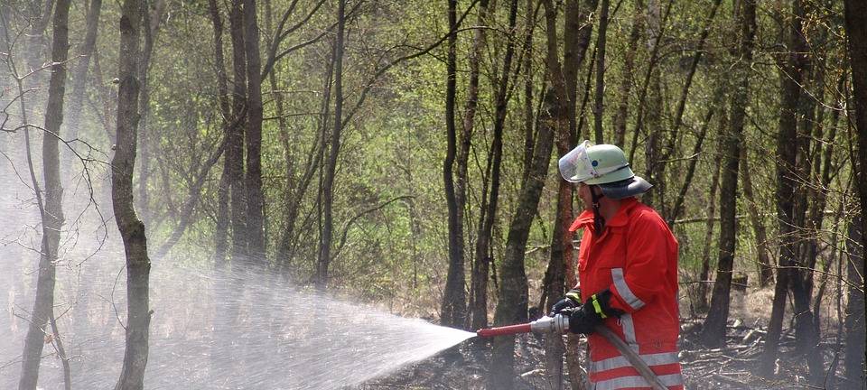 HAVIXBECK: Waldboden gelöscht
