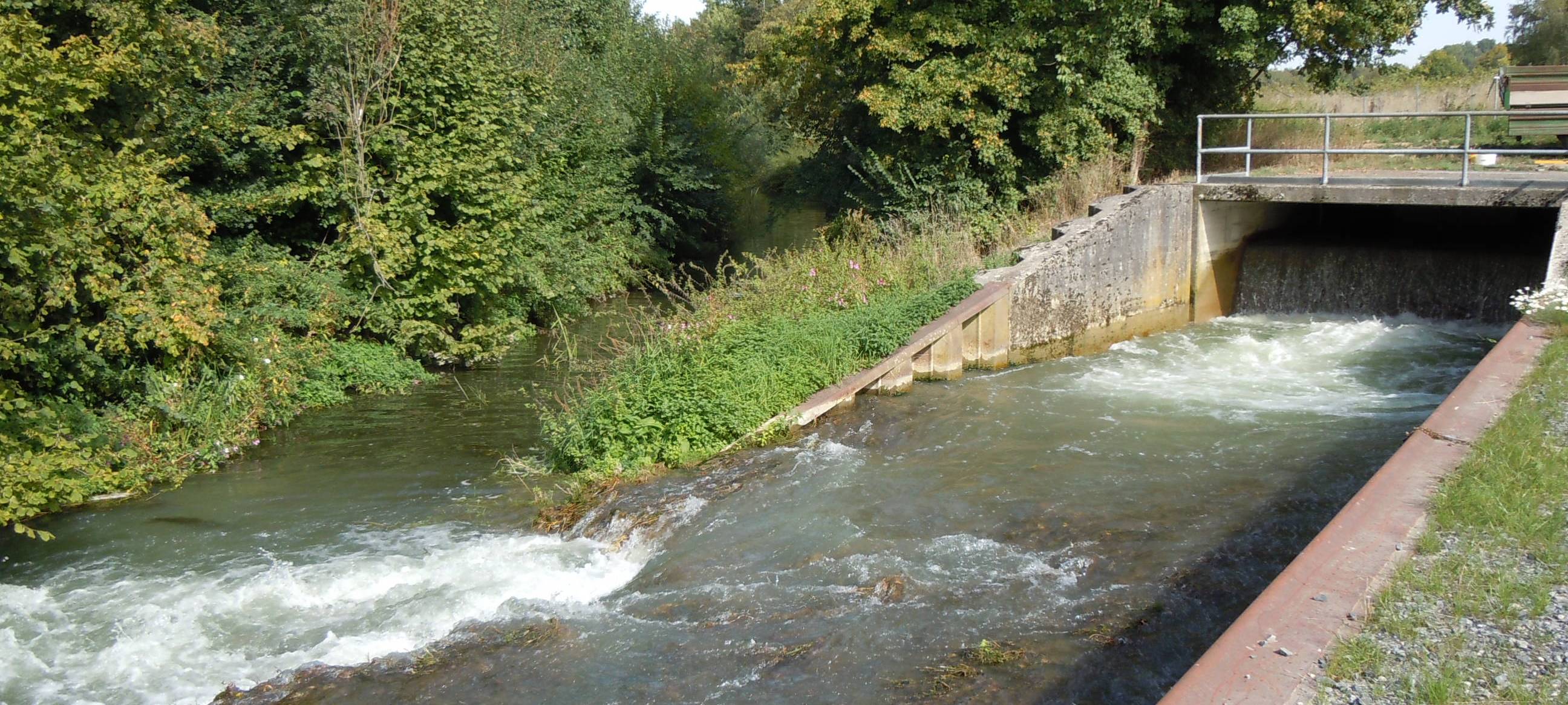 KREIS: Sehr niedrige Wasserstände