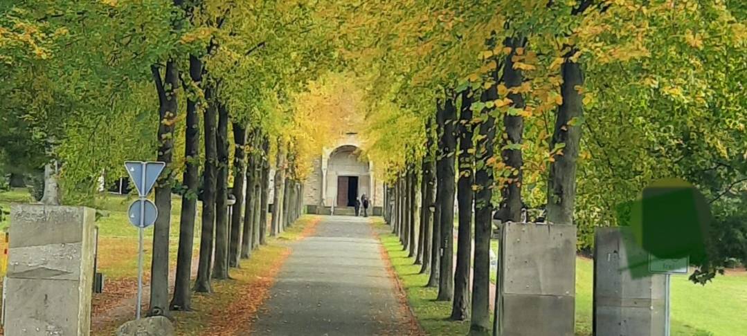 BILLERBECK: Umbauarbeiten am Kloster Gerleve