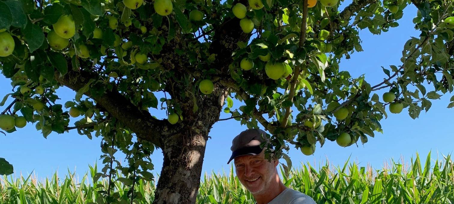 SENDEN: Kostenlos Obst ernten