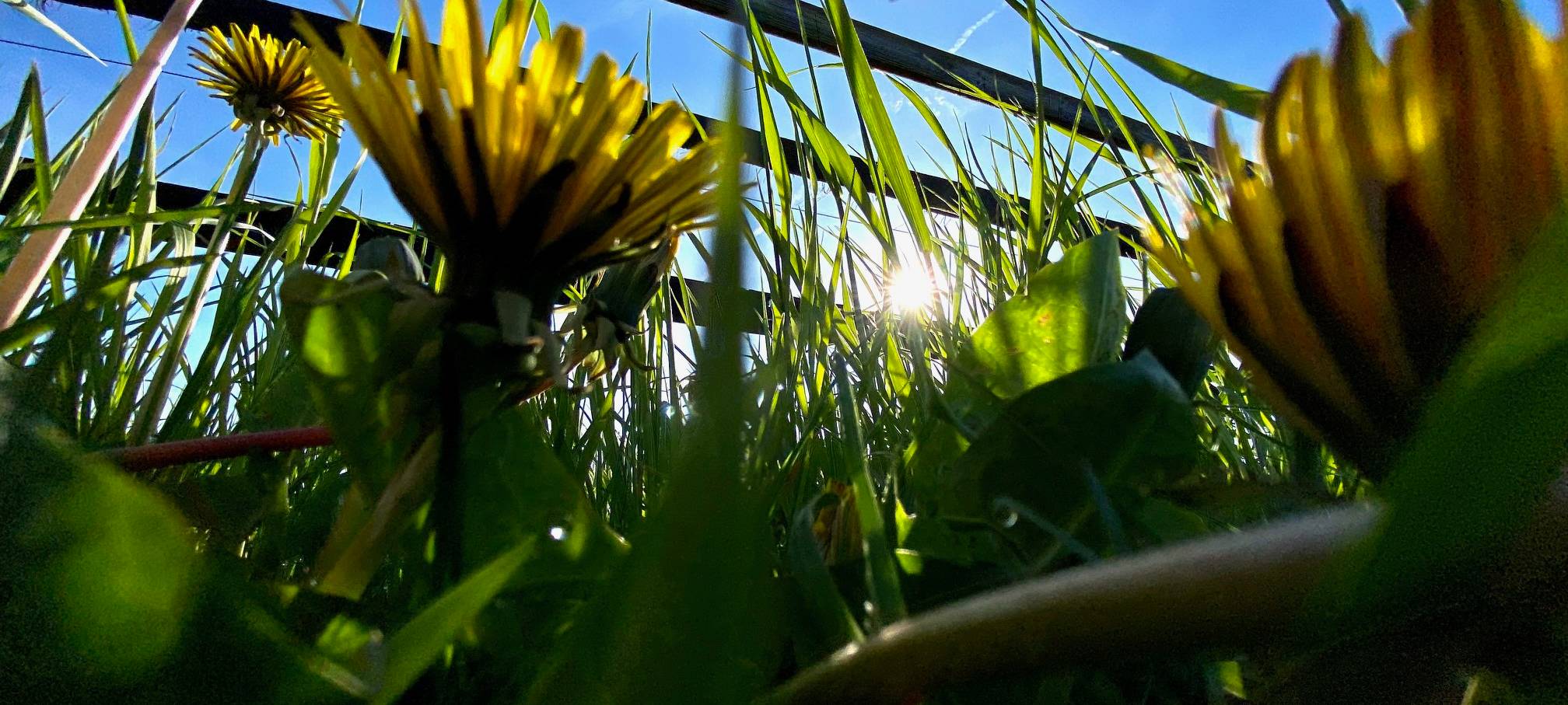 KREIS: Hier soll die Stromautobahn herführen