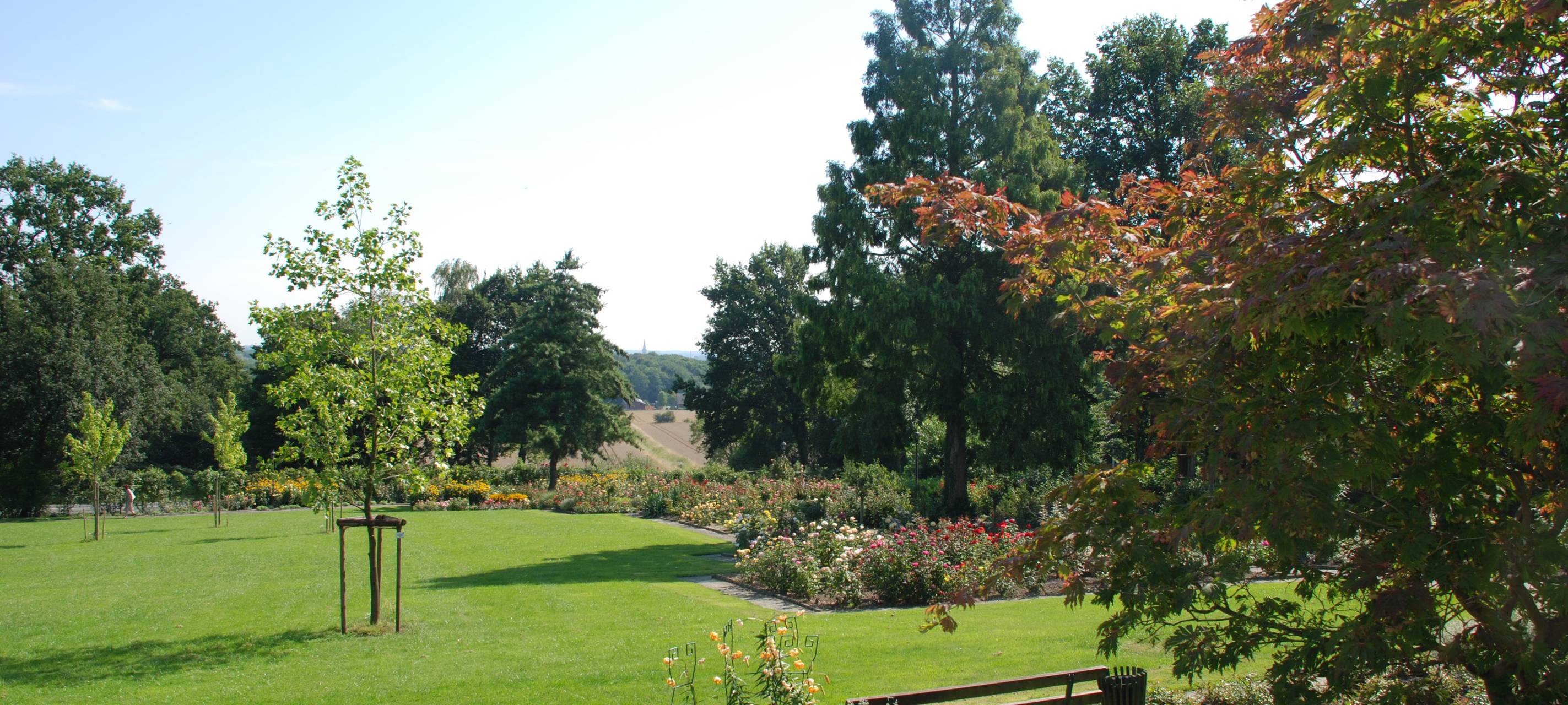 SEPPENRADE: Bilanz Rosenfest mit neuem Konzept