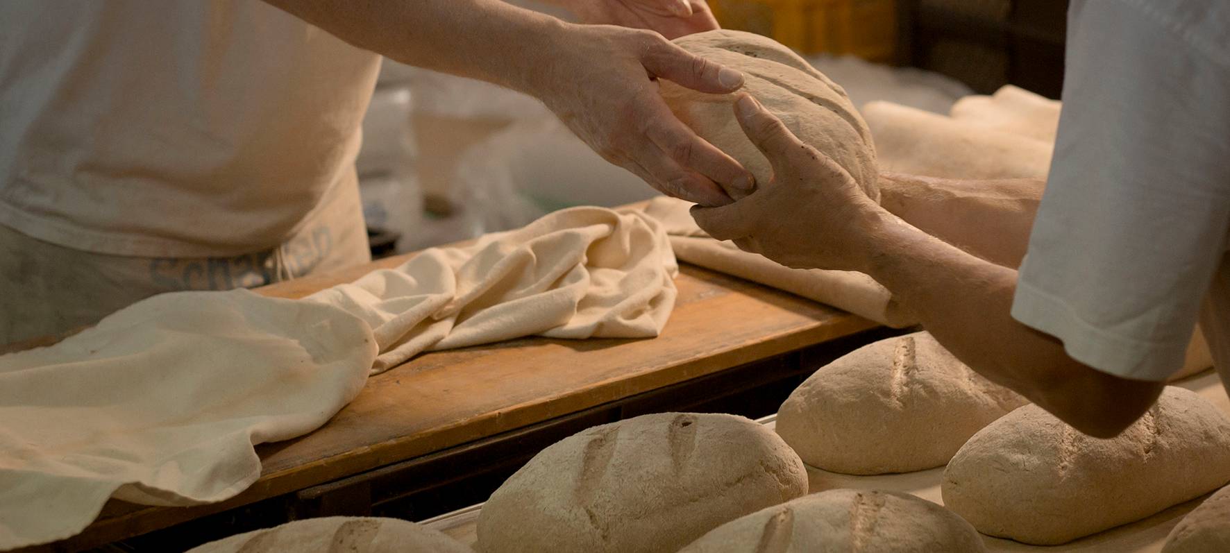 KREIS: Energiesparen im Handwerk