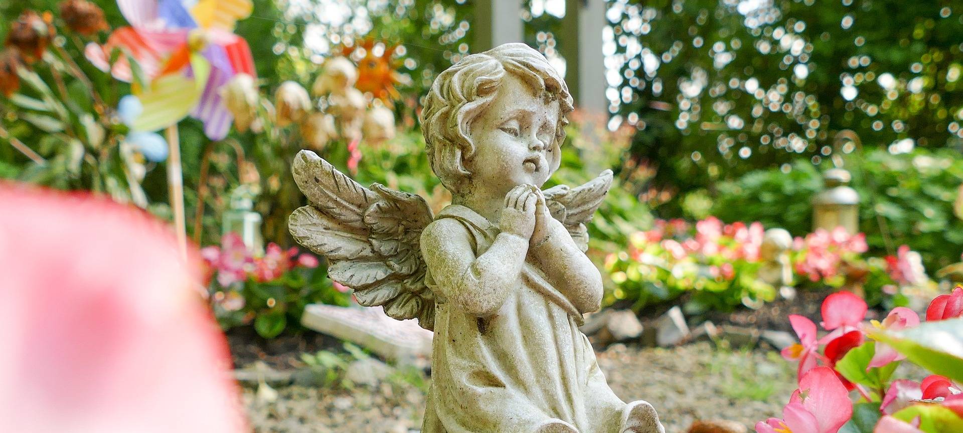 Ihr Thema im Radio: Projekt für Sternenkinder