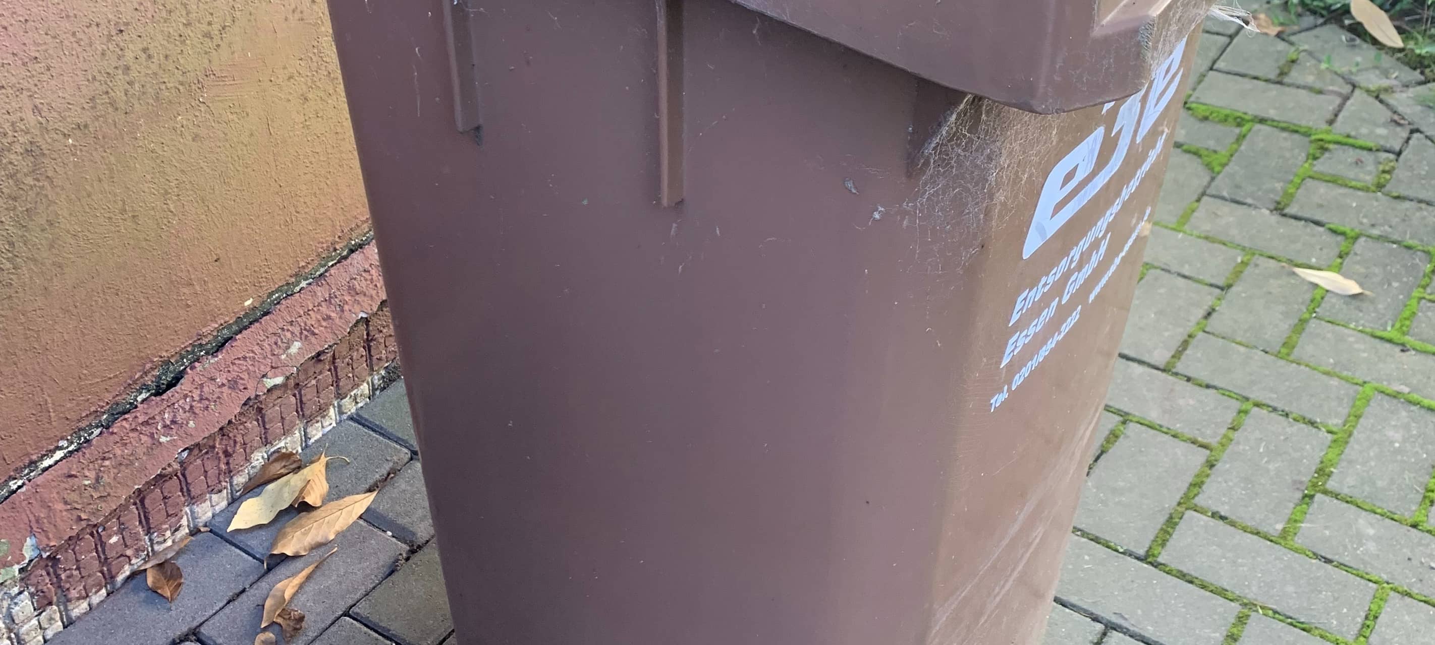 DÜLMEN: Warum Biotonnen nicht geleert?!