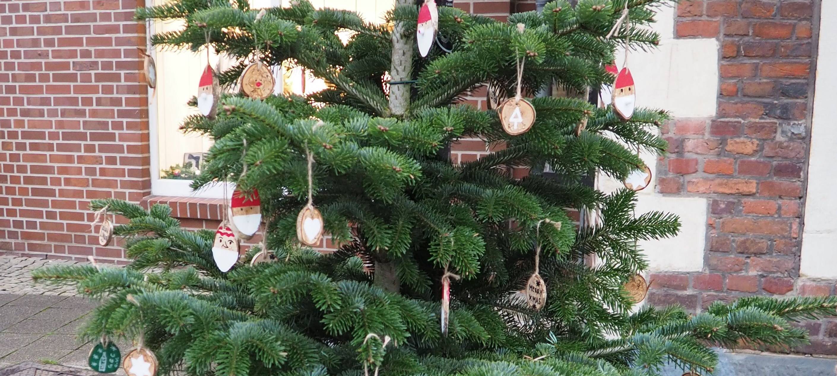 COESFELD: Tannenbäume schmücken