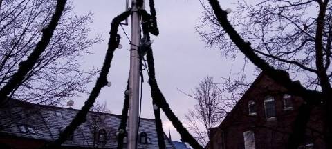 KREIS: Zerstörter Weihnachtsbaum und Diebstähle