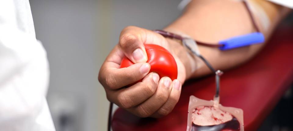 KREIS: Jetzt Blut spenden