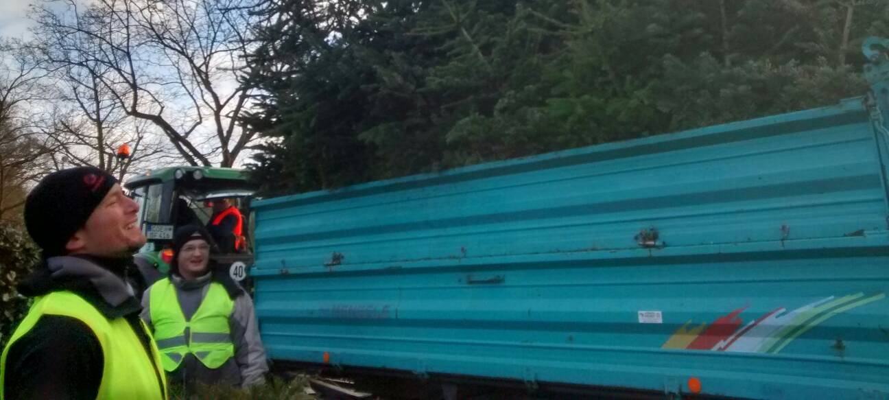 KREIS: Jugendgruppen holen Bäume ab