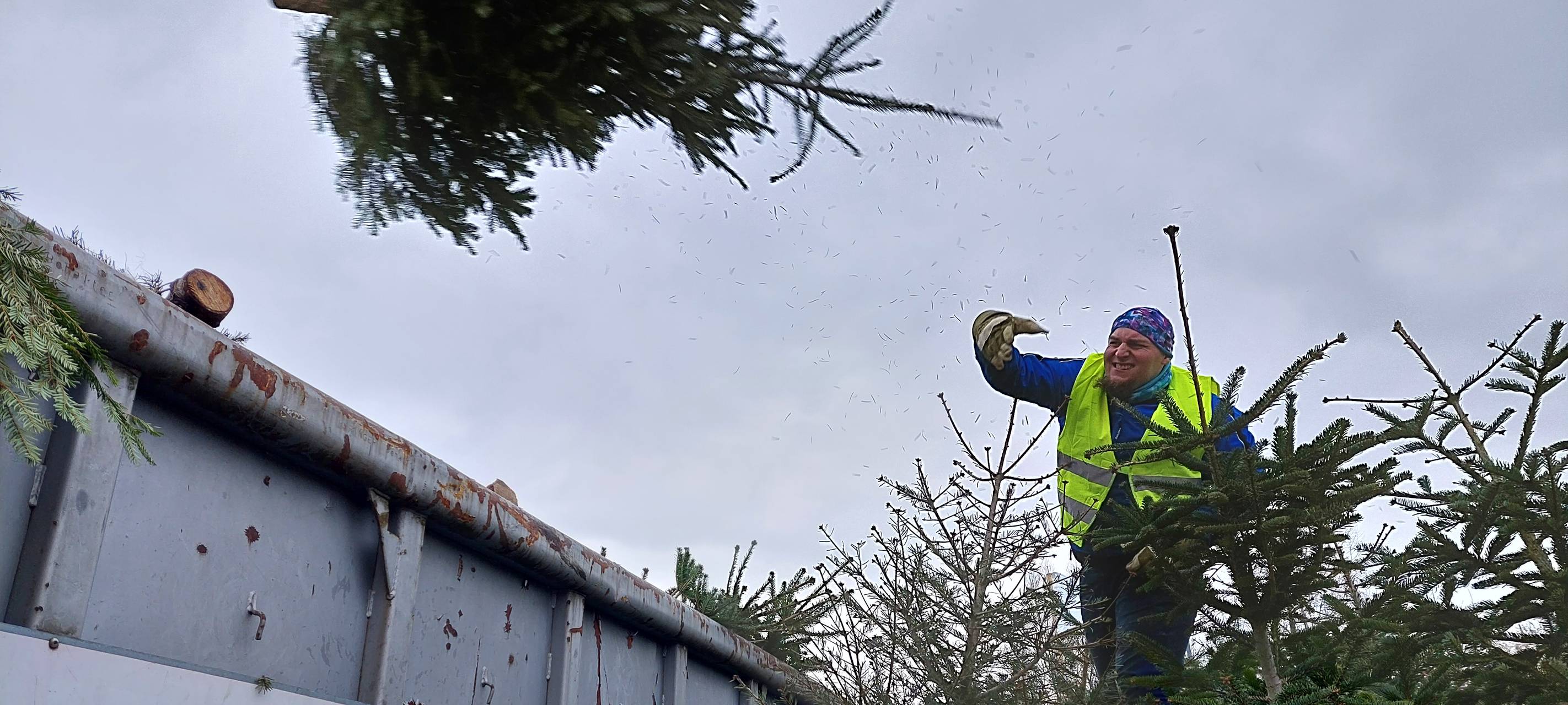 KREIS: Tannenbaum-Aktionen in vollem Gang