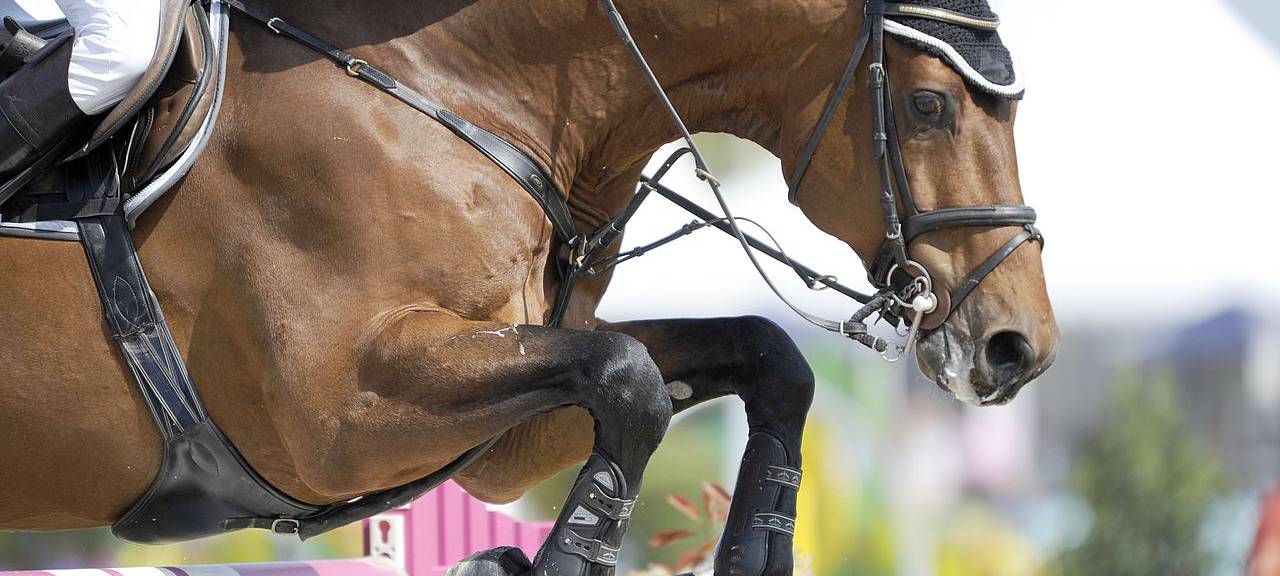 MÜNSTER: Turnier der Sieger