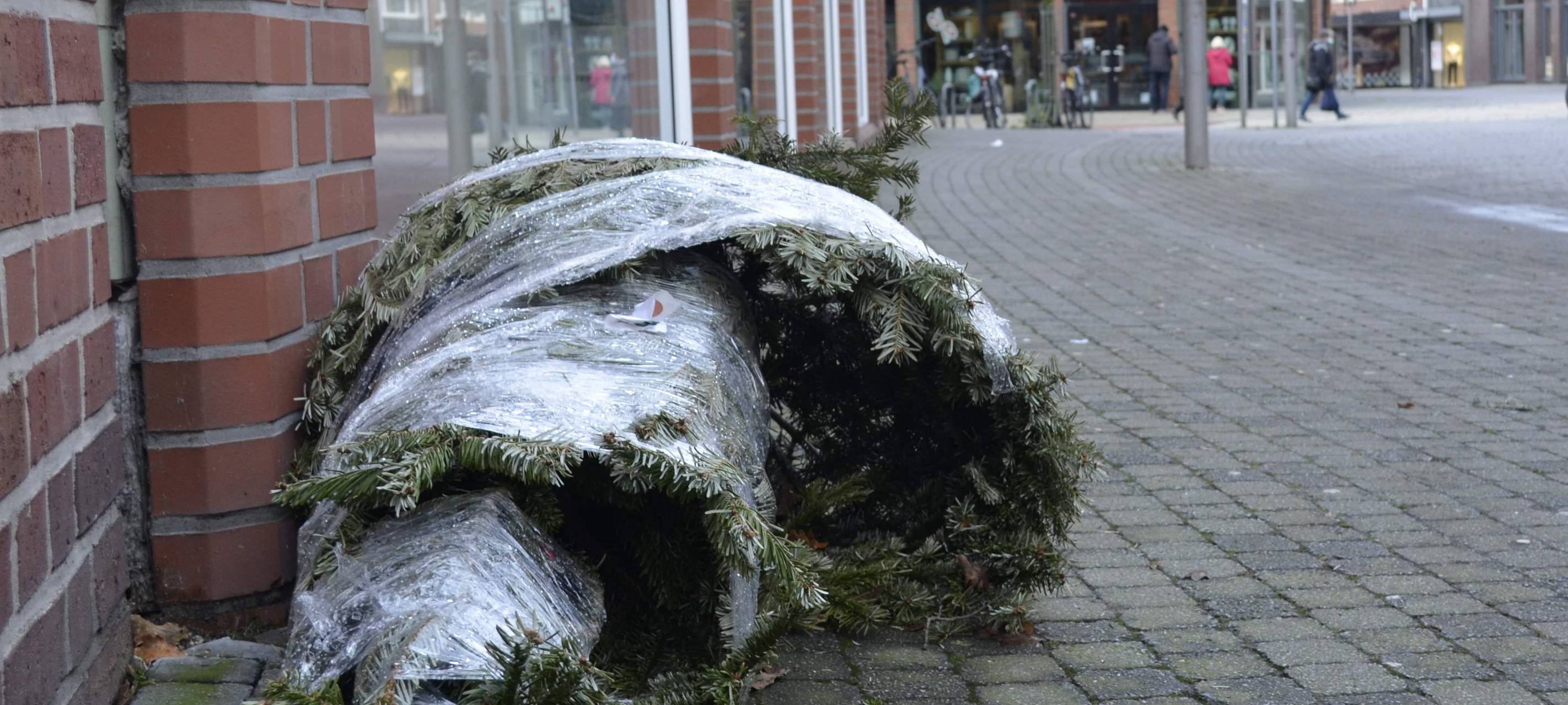 KREIS: Weihnachtsbaum-Einsammelwochenende