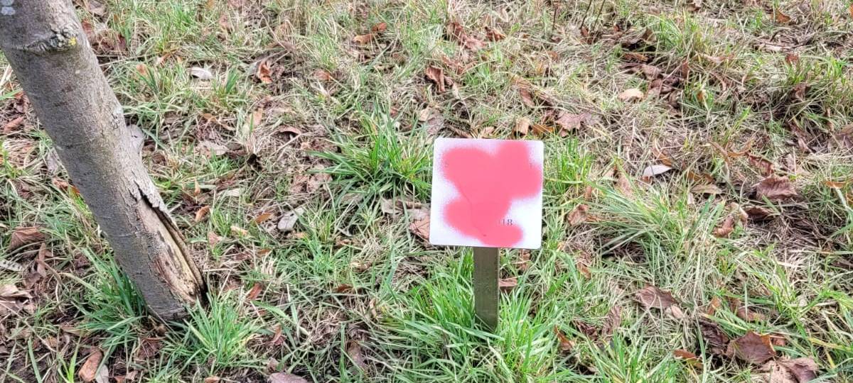 OLFEN: Stiftungstafeln schnell reinigen