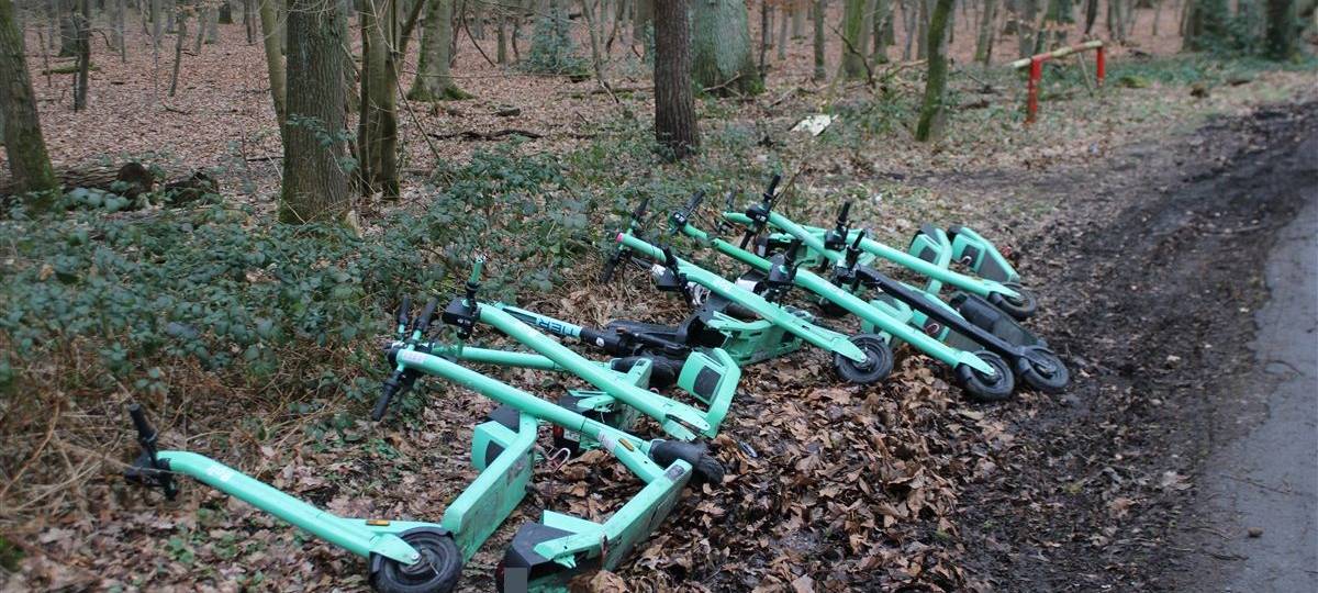OLFEN: Erkenntnisse zu E-Scootern