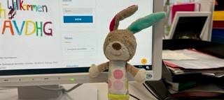 Stoff-Hase sucht seinen Besitzer