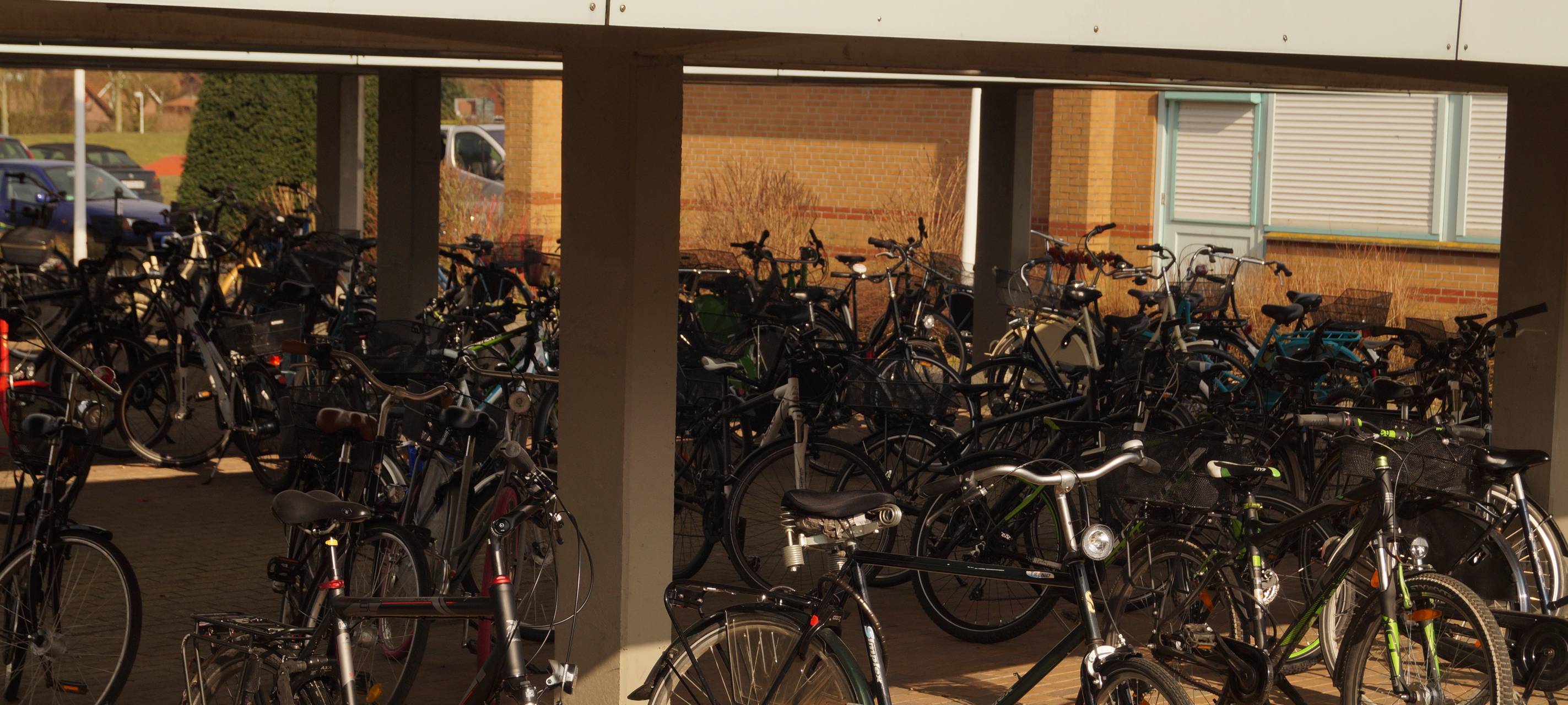 NOTTULN: Fahrradflunder