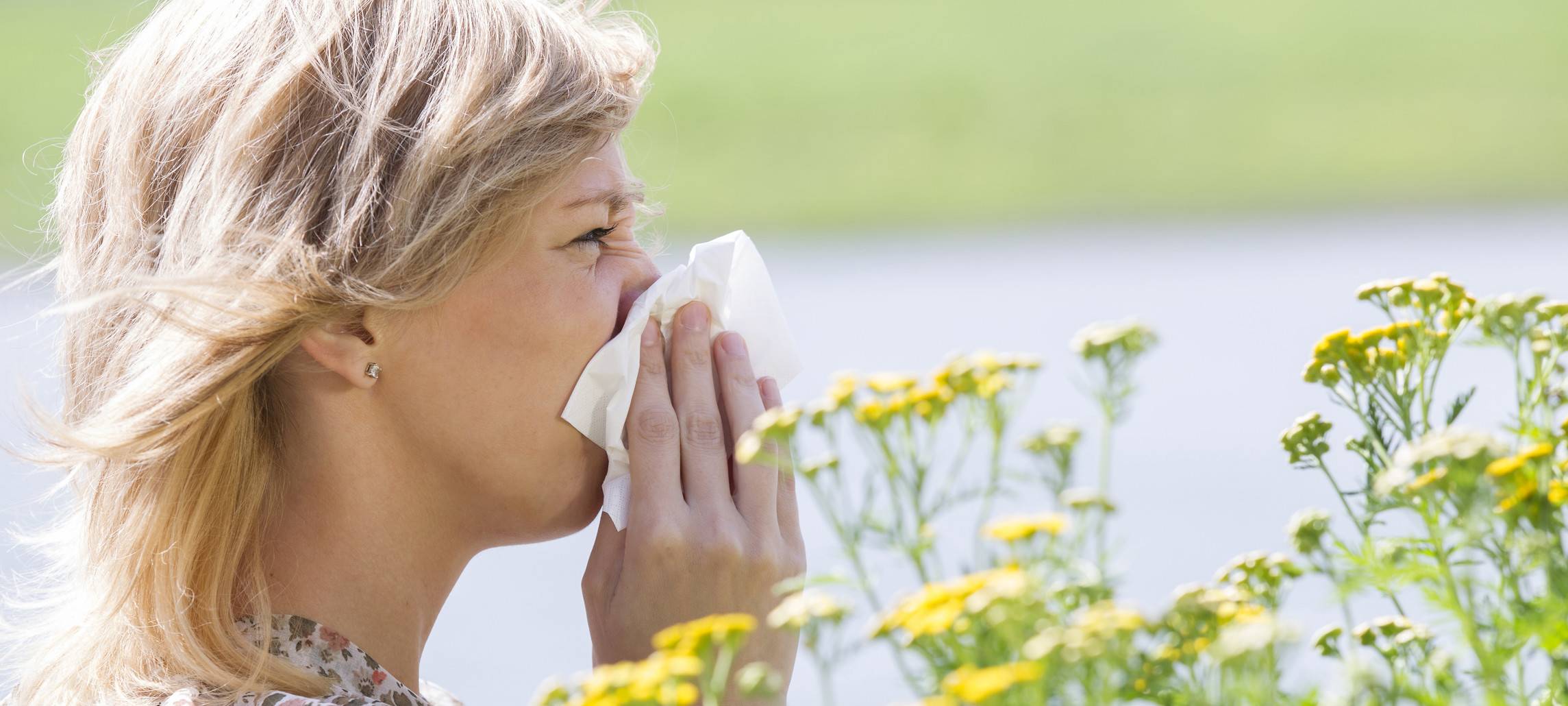 KREIS: Allergiker leiden schon unter Pollen