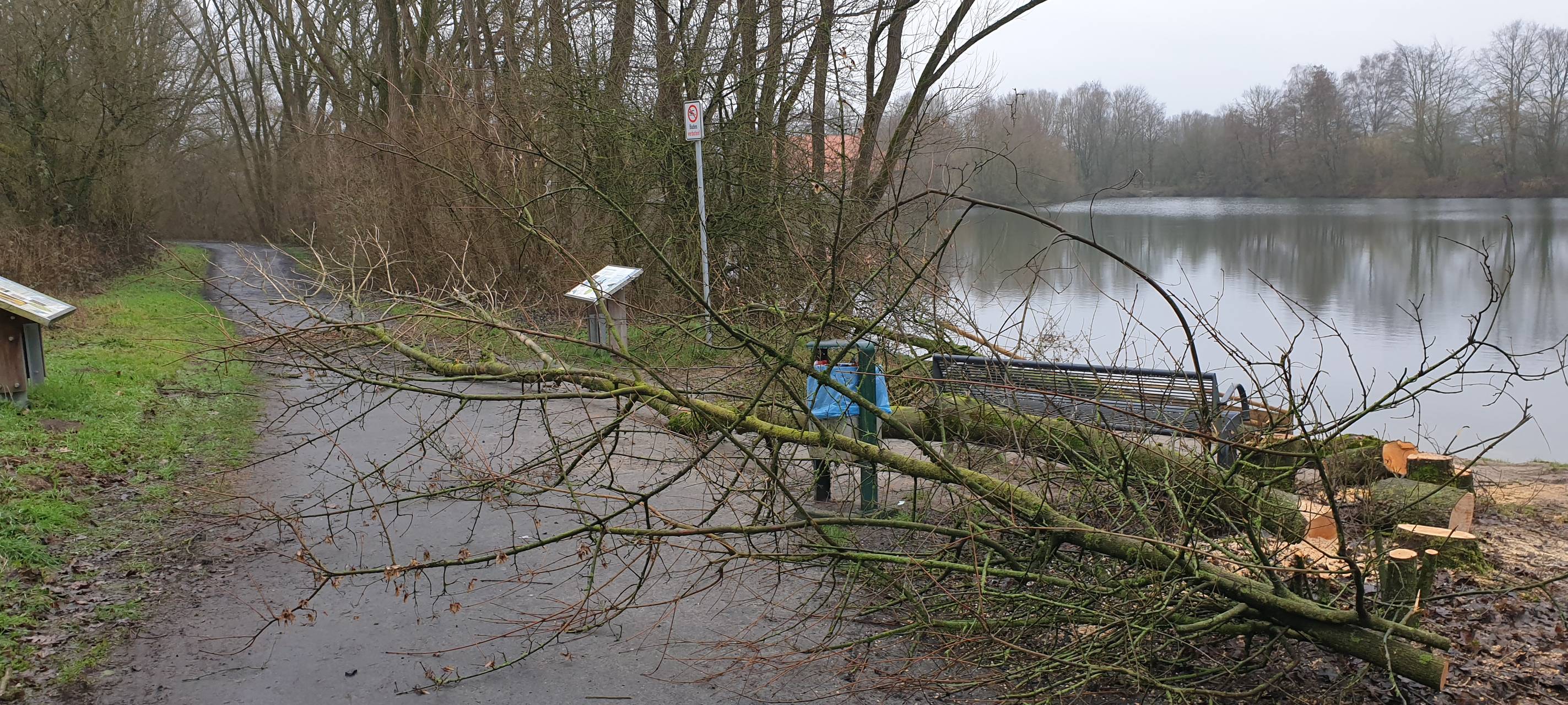 BULDERN: Bäume illegal gefällt