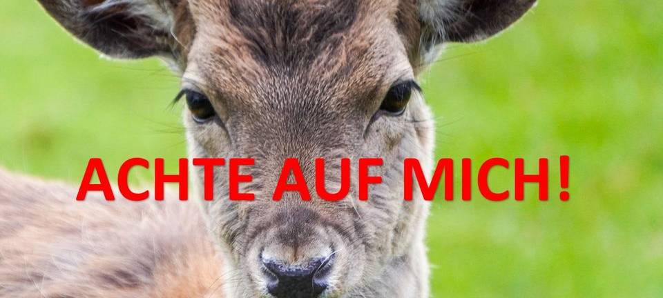 Achtung Autofahrer!