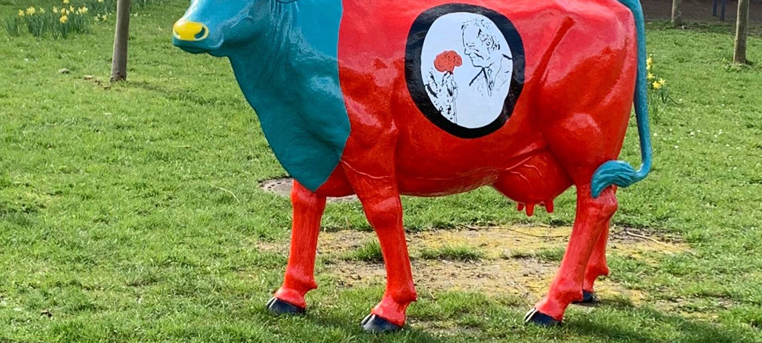 NORDKIRCHEN: Kuh-Aufbau läuft
