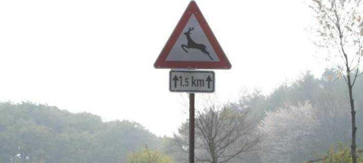 OLFEN: Aktion gegen Wildunfälle