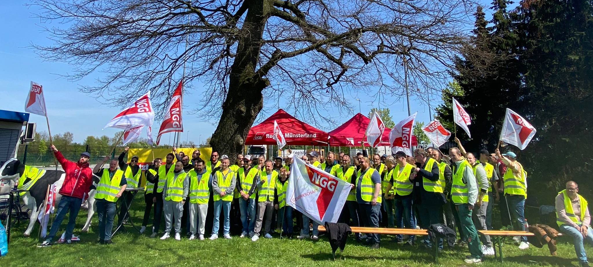 COESFELD: Warnstreik im Milchwerk