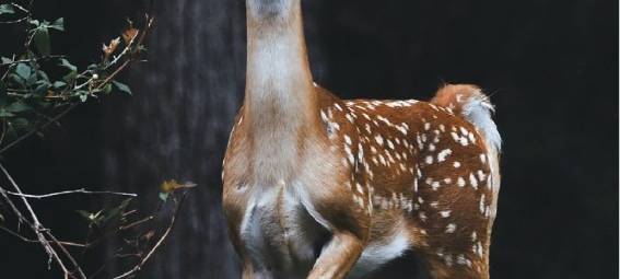 BAUMBERGE: Kampagne gegen Motorrad-Lärm startet