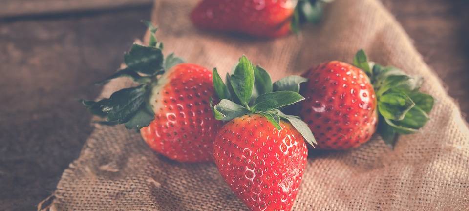 KREIS: Erdbeer-Saison startet offiziell