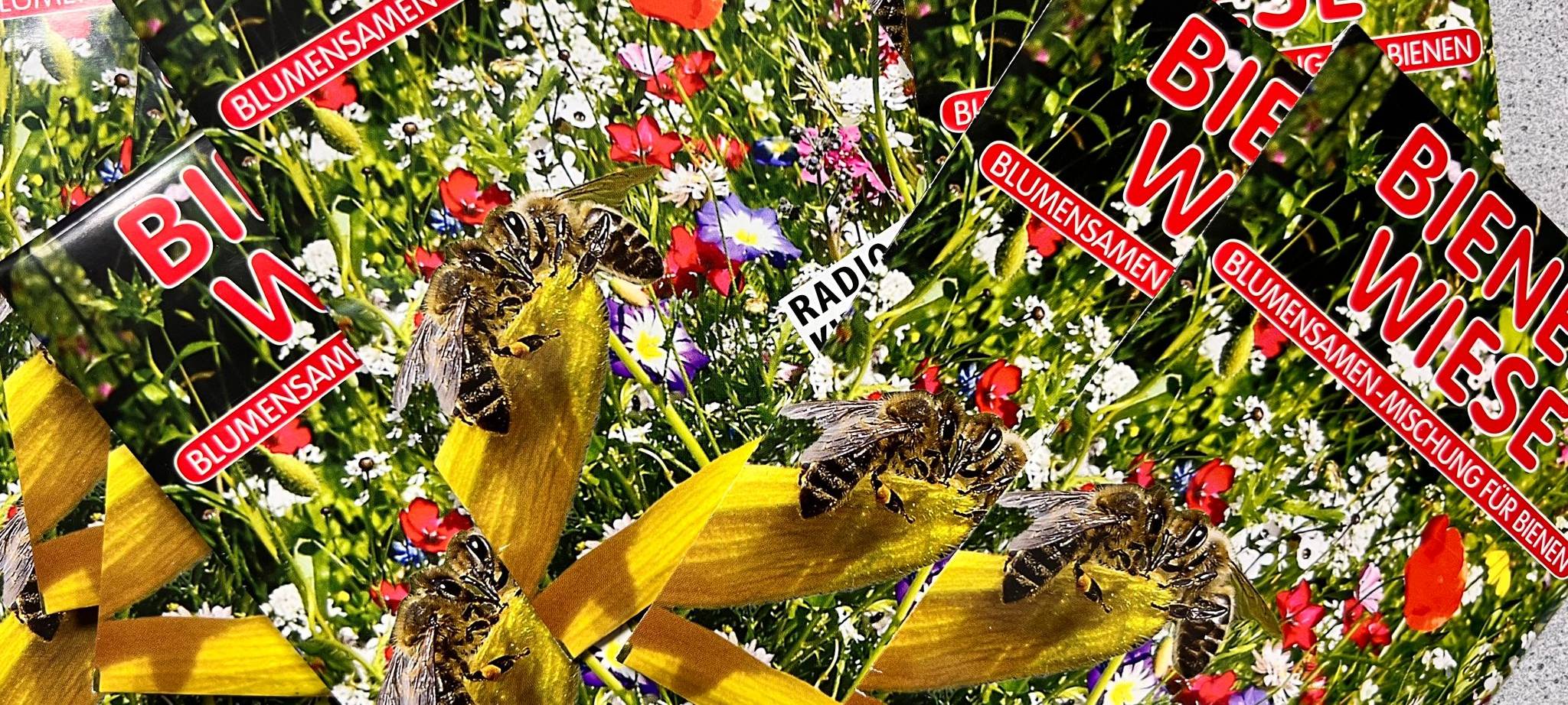 Welt-Bienentag