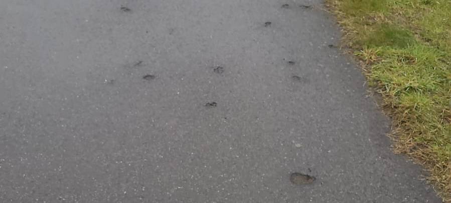 HERBERN: Maroder Radweg nach Ascheberg