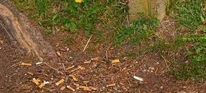 KREIS: Kampf gegen Zigarettenkippen