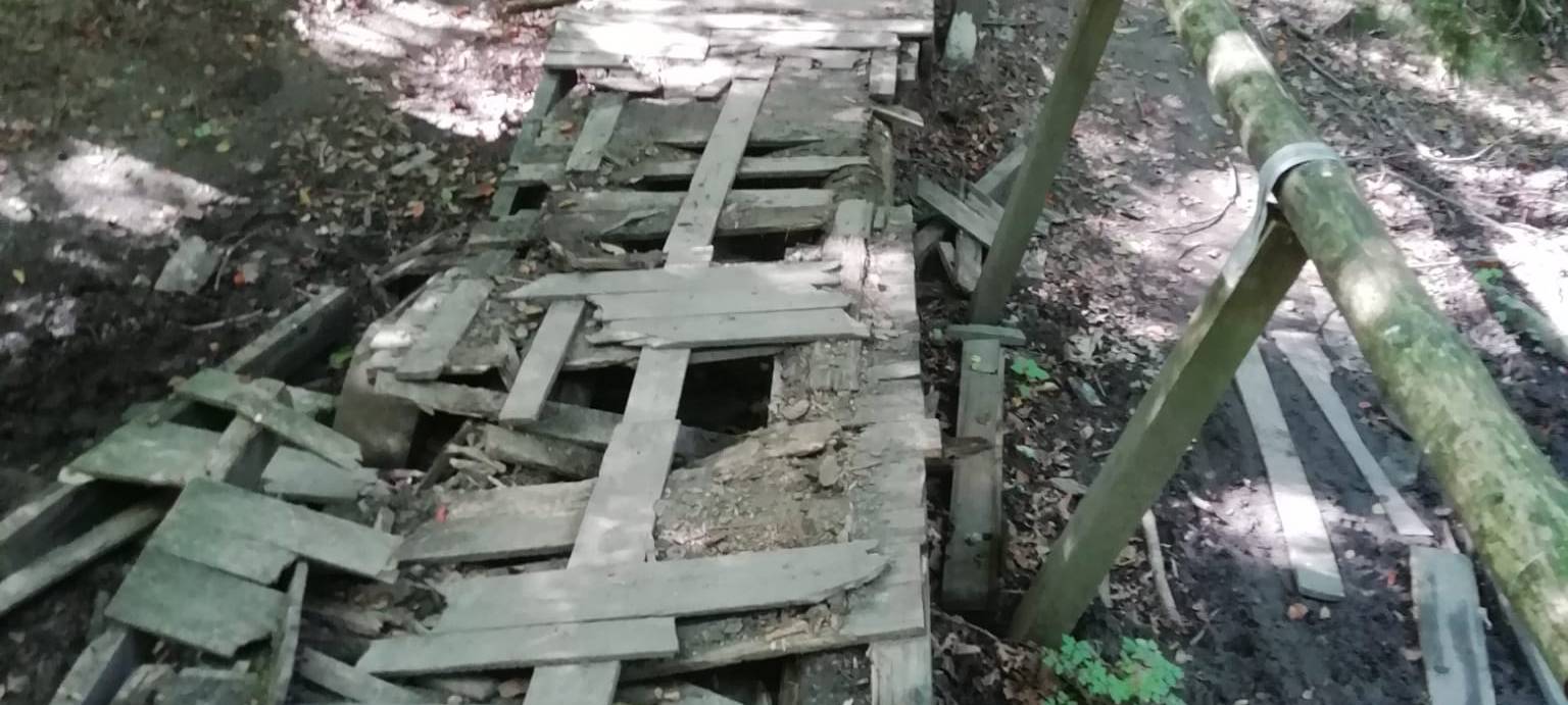 DÜLMEN: Vandalismus am Spiekerhof