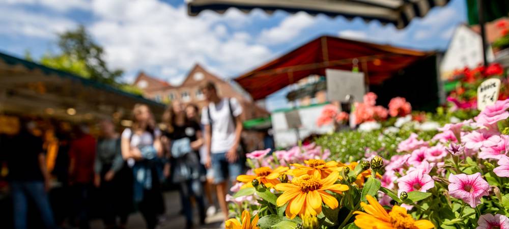 LÜDINGHAUSEN: Letzter Bauernmarkt des Jahres