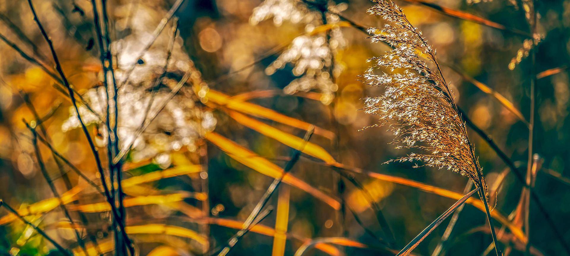 KREIS: neues Naturschutzgebiet geplant