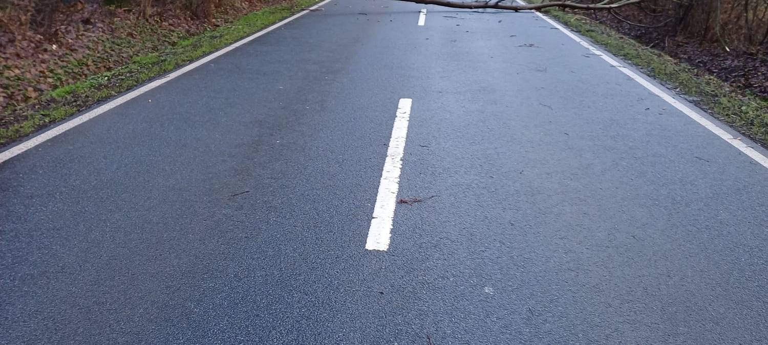 KREIS: Regen-/Sturmschäden