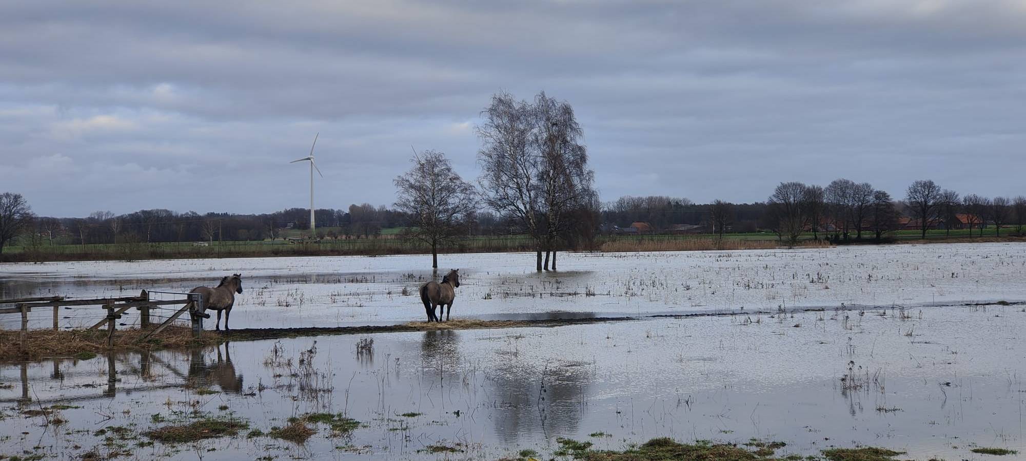 KREIS: Hochwasser-Lage