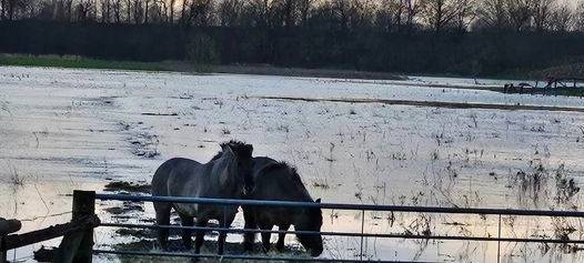 OLFEN: Diskussionen nach Hochwasser