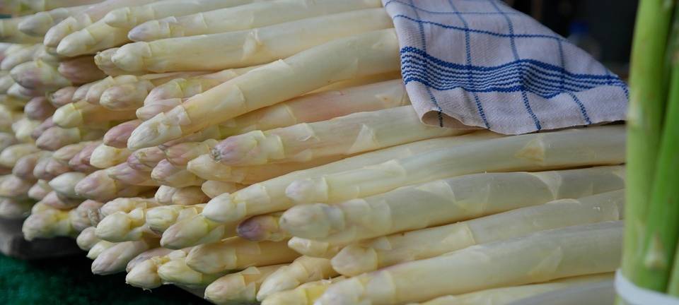 Heißhunger auf Spargel zu Ostern