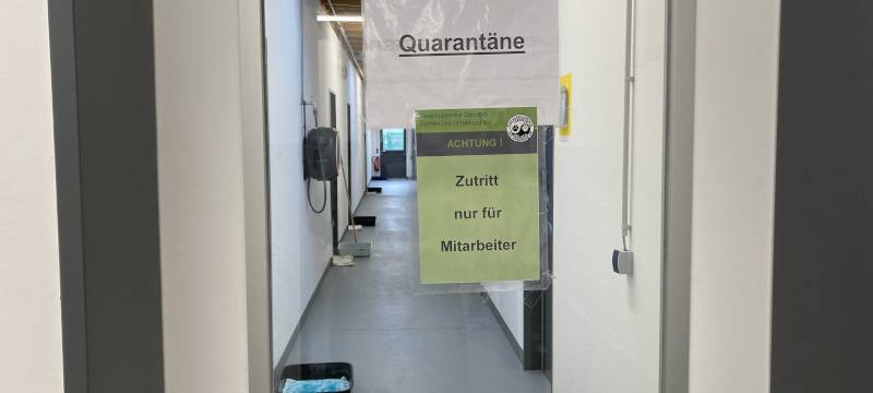 COESFELD: Vermittlungsstop im Tierheim