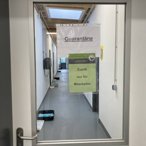 COESFELD: Vermittlungsstop im Tierheim - Radio Kiepenkerl