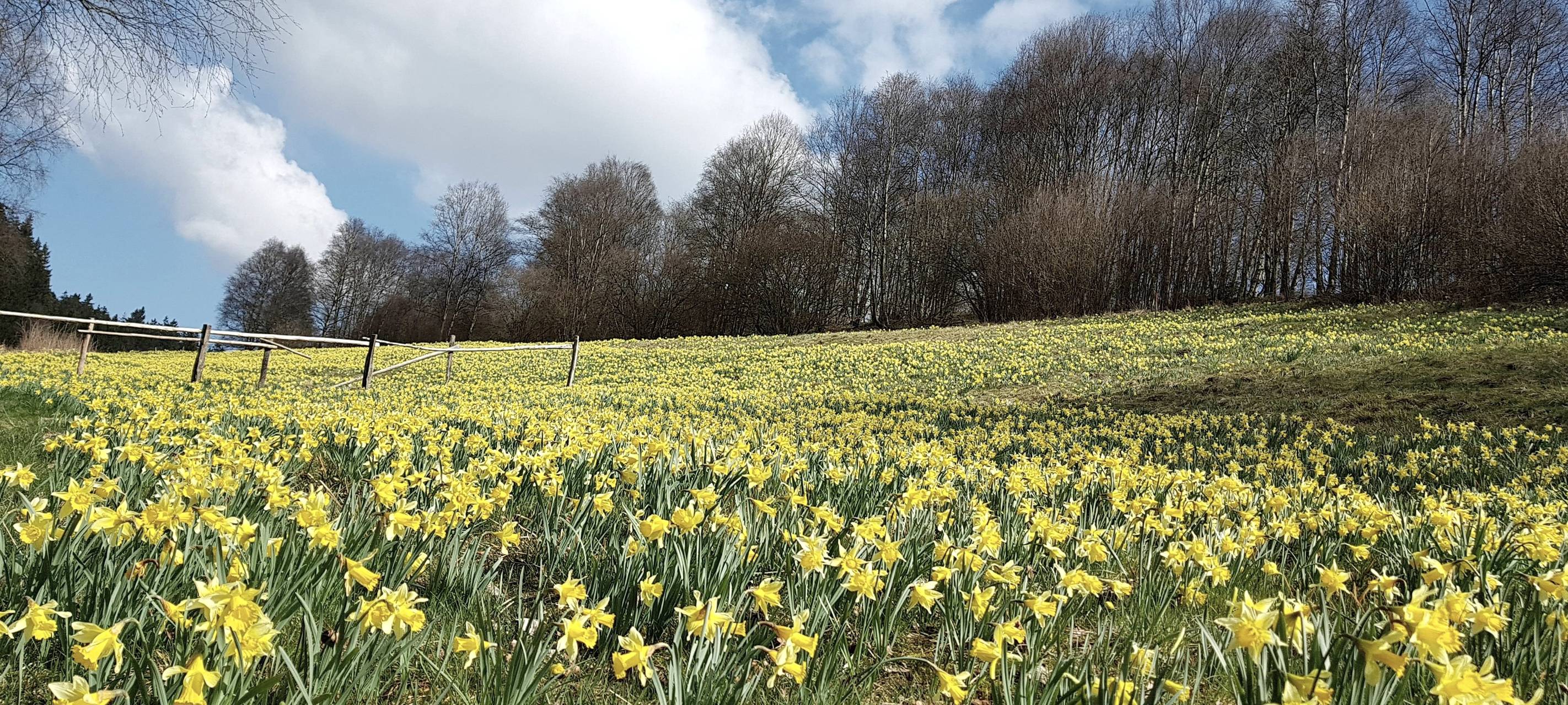 Ausflugstipps für die Osterferien