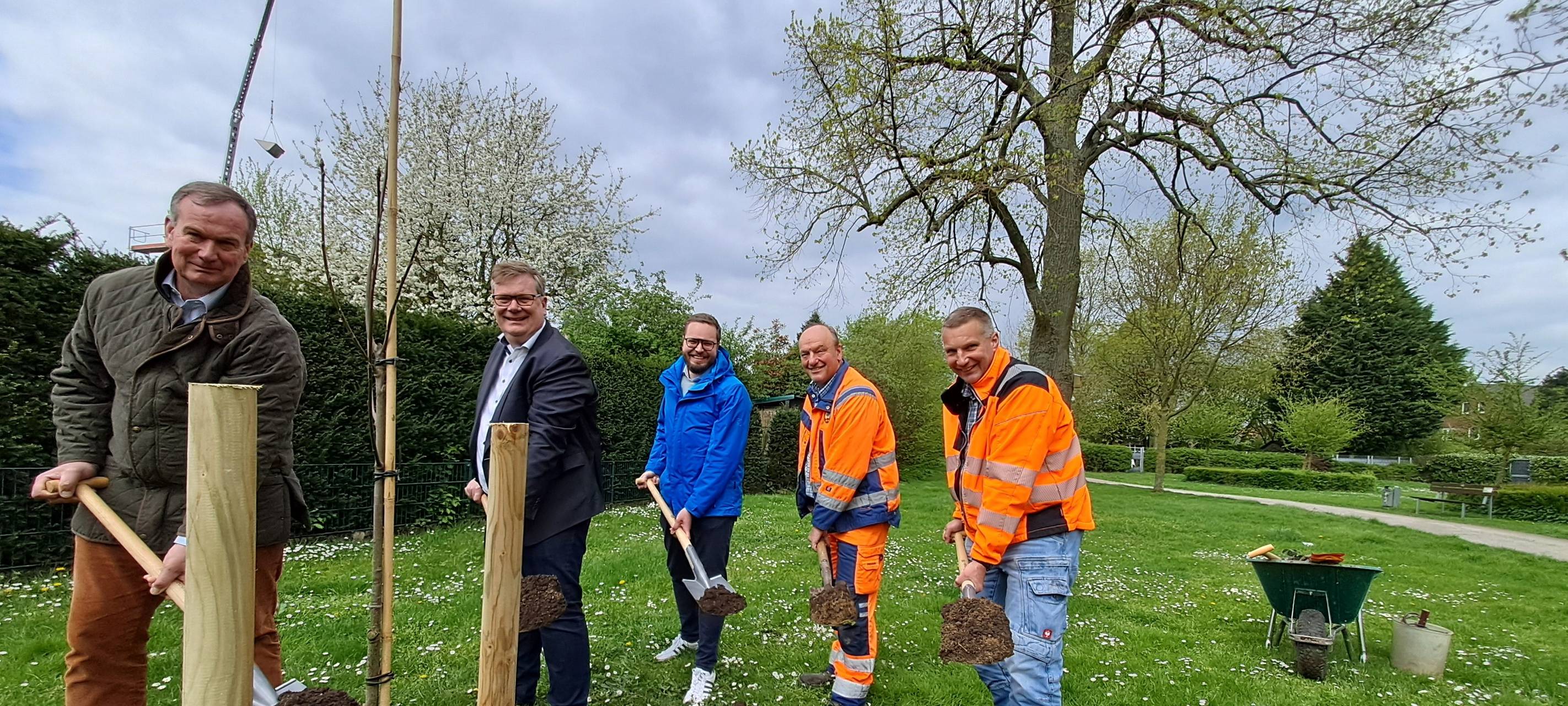ASCHEBERG: Baum des Jahres