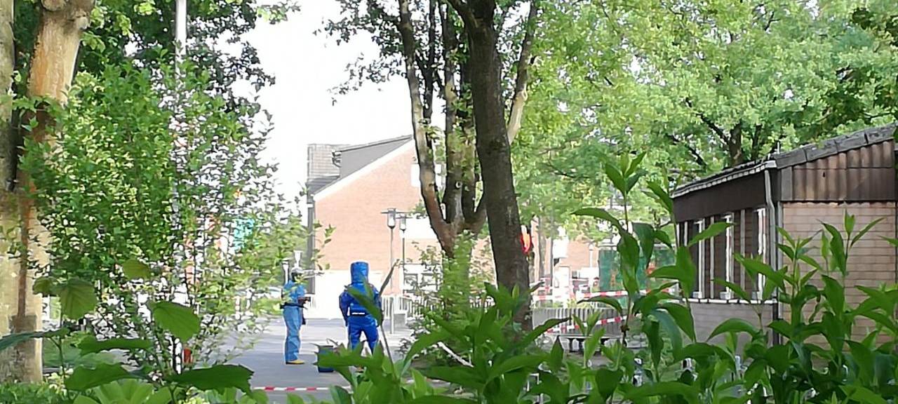 Kampf gegen Eichenprozessionsspinner