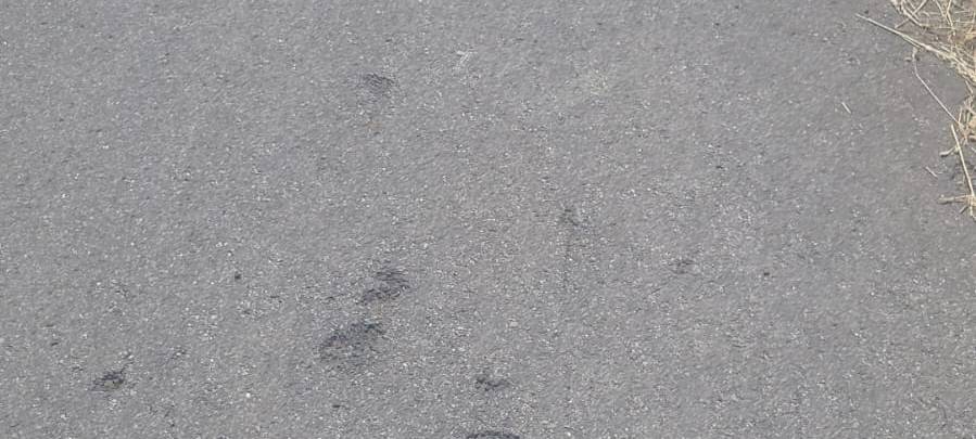 HERBERN: Schäden im Radweg